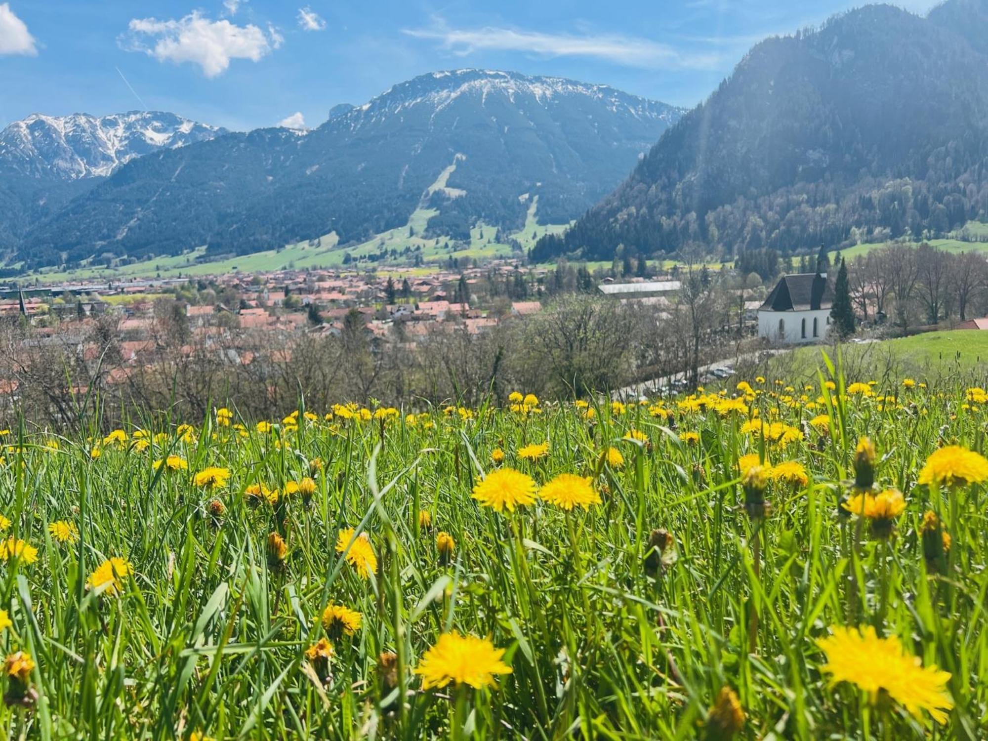 Ferienhaus Sommer 普夫龙滕 外观 照片